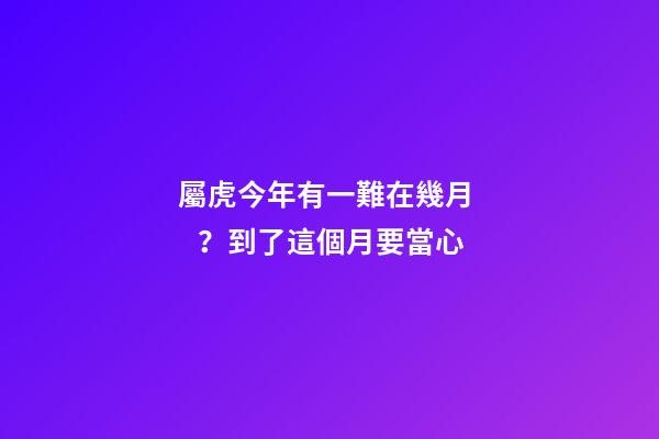 屬虎今年有一難在幾月？到了這個月要當心